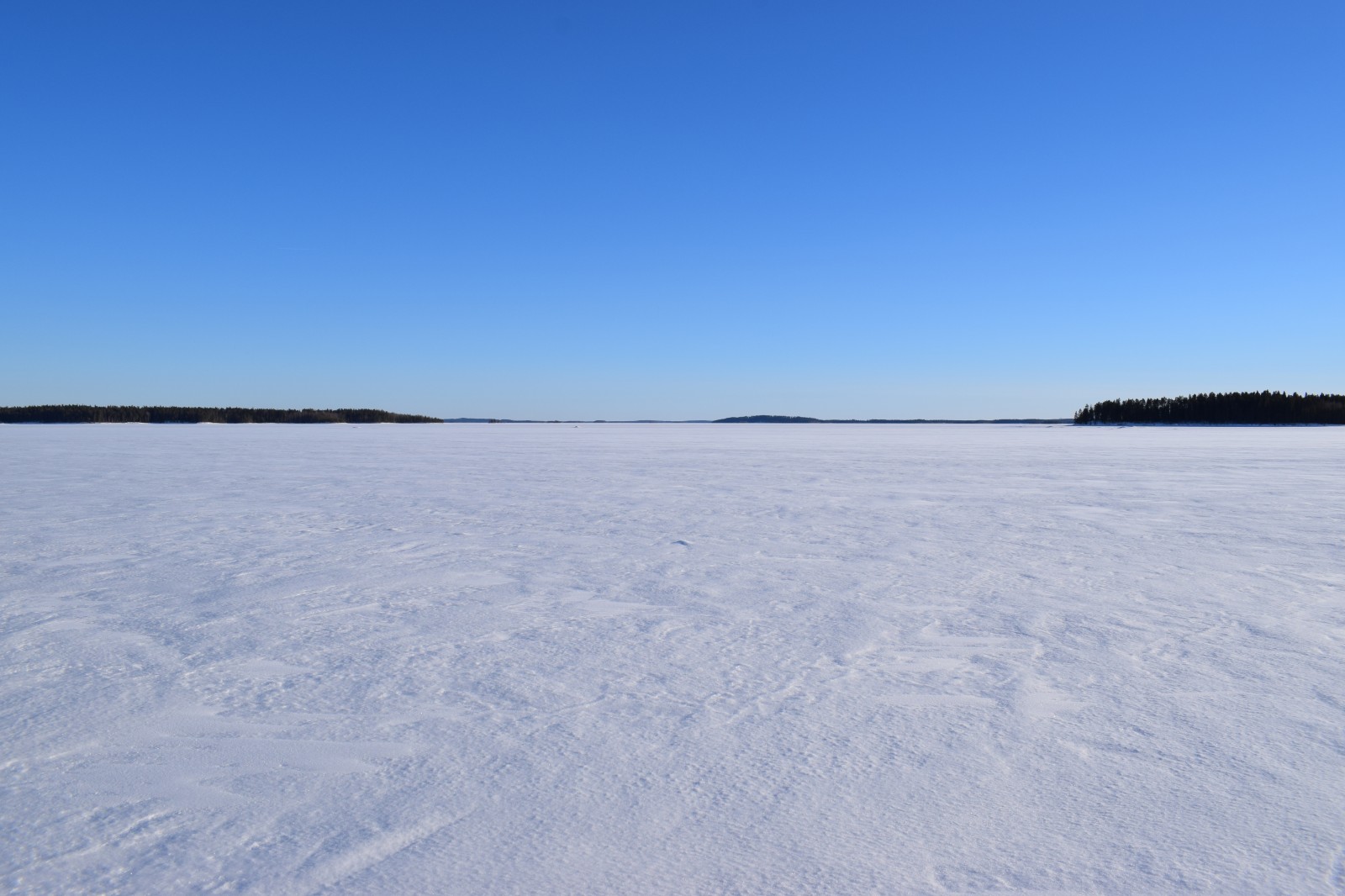 ¿Dónde se encuentran los desiertos?
