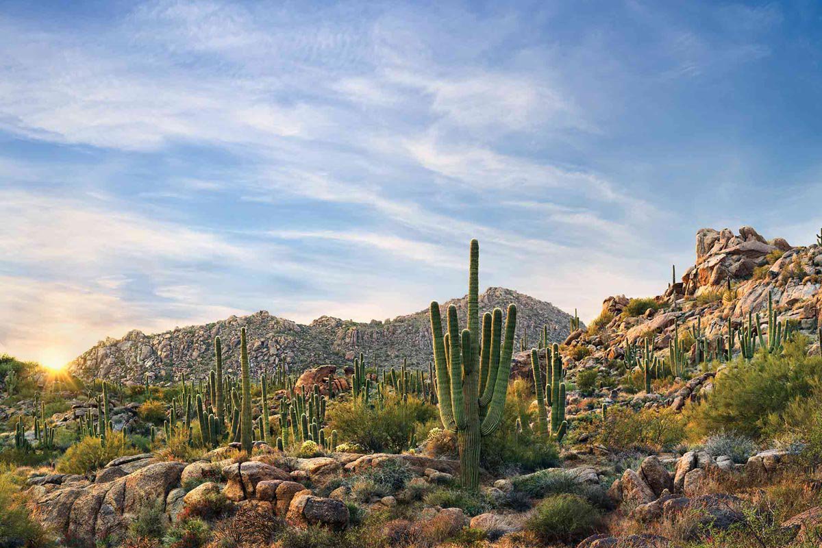 Los desiertos del mundo