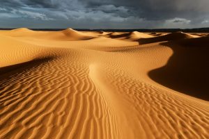 Lee mÃ¡s sobre el artÃ­culo Desierto