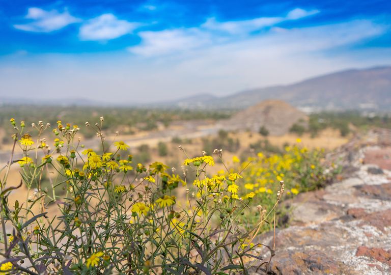 cuándo es el equinoccio de primavera