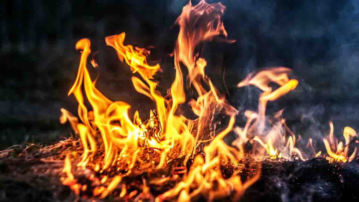 Historia de la ignición