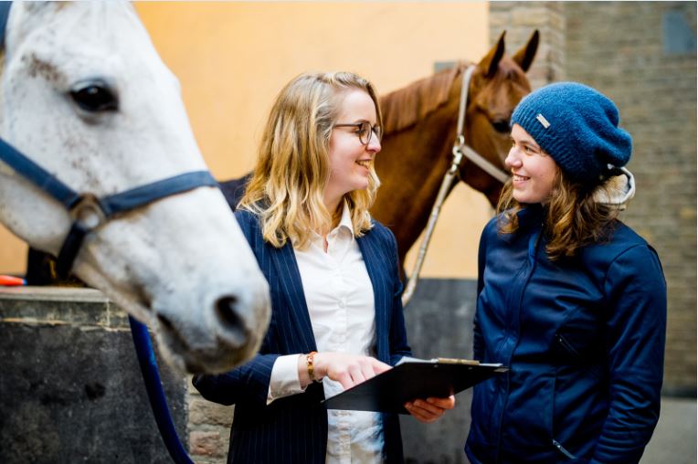 La importancia de la ganadería
