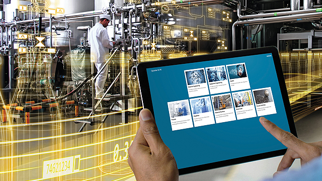 etapas de los procesos etapas de los procesos
